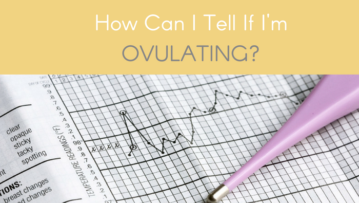 How Can I Tell If I’m Ovulating?
