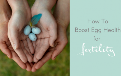 How To Boost Egg Health for Fertility