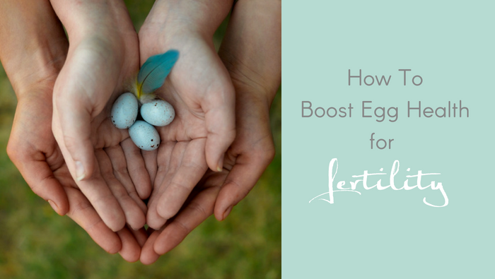 How To Boost Egg Health for Fertility